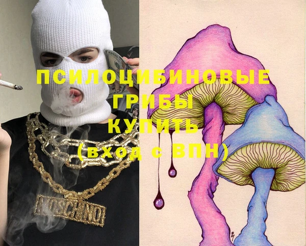 дурь Алексин